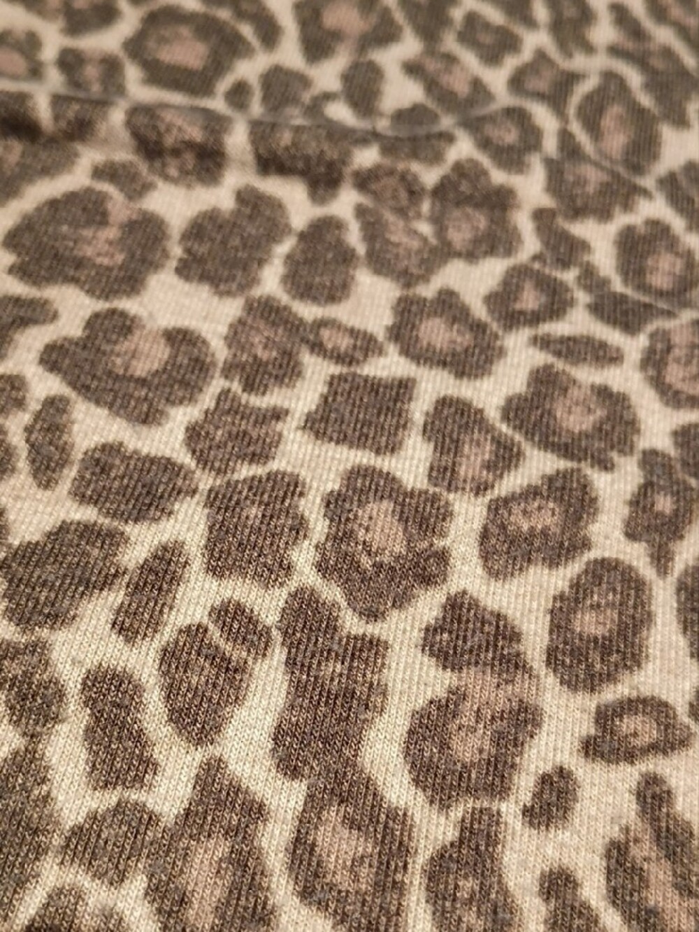Splendid Leopard Print Crewneck Sweater with Gray Trim - Picture 4 of 6